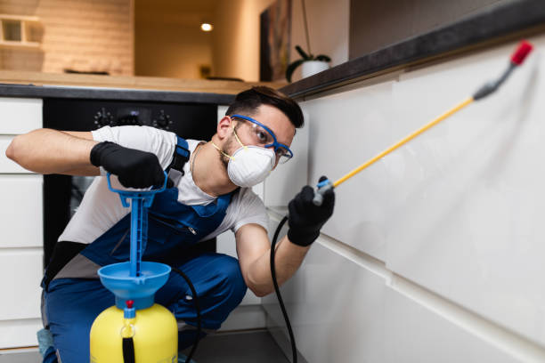 Best Pest Inspection Near Me  in Southern Shores, NC