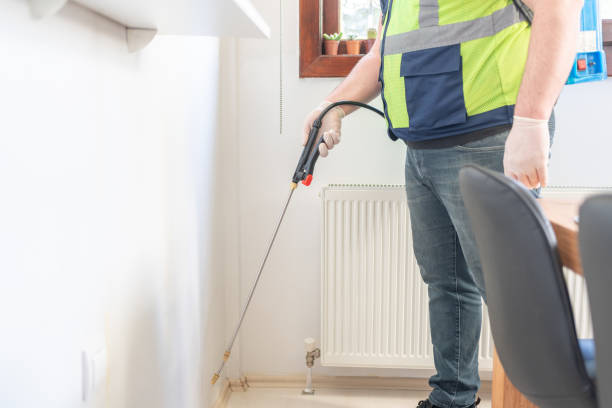 Professional Pest Control in Southern Shores, NC
