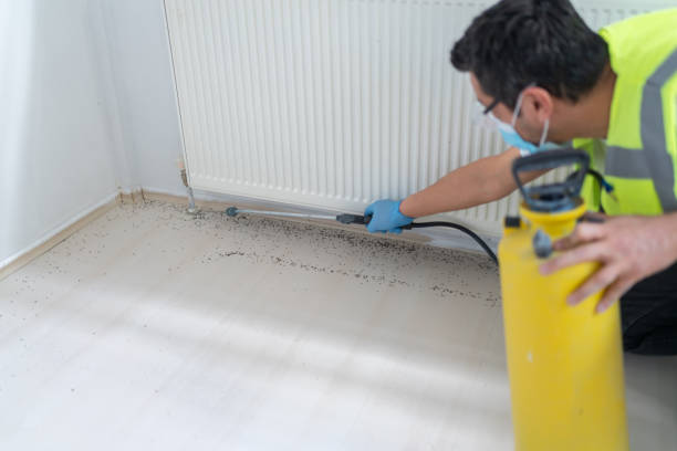 Best Pest Removal Services  in Southern Shores, NC